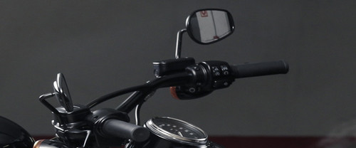 Harley-Davidson Softtail Slim S Back Side View