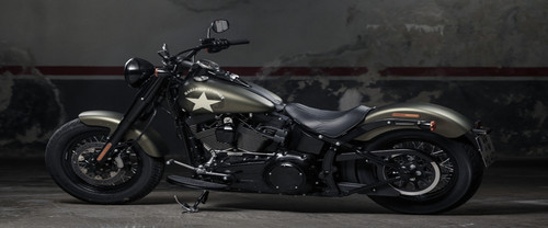 Harley-Davidson Softtail Slim S Back Side View