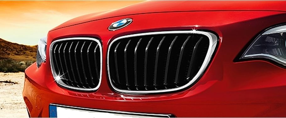 2 Series Grille View