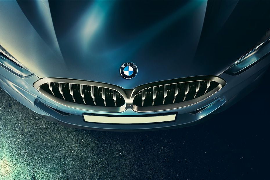 BMW 8 Series Grille View