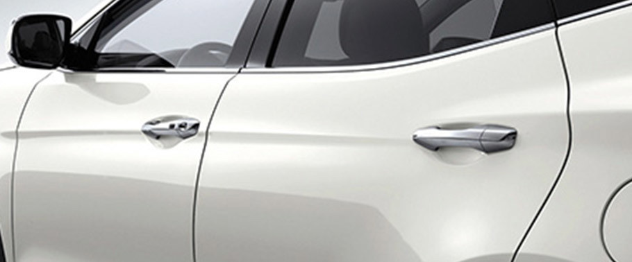 Santa Fe (2016-2018) Door handle