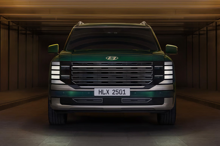 Full Front View of Palisade