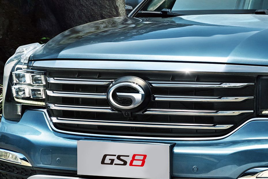 GS8 Grille View GS8 Grille View