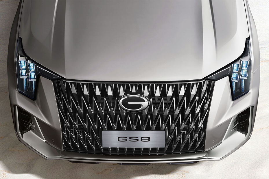 GS8 HEV Grille View GS8 HEV Grille View