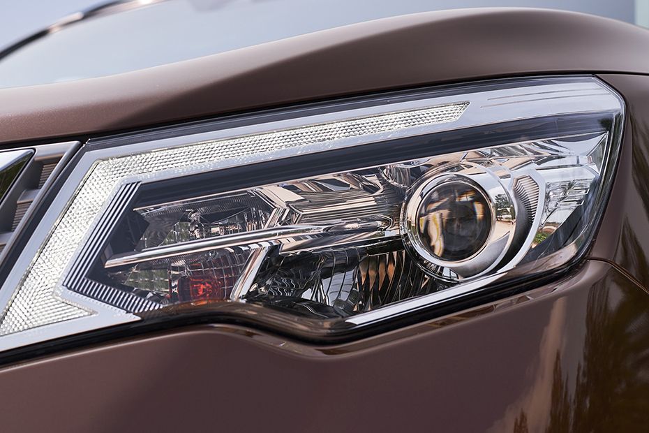 Terra (2019-2020) Headlight