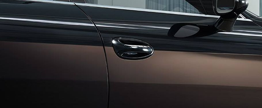 Panamera Exclusive Series Door handle