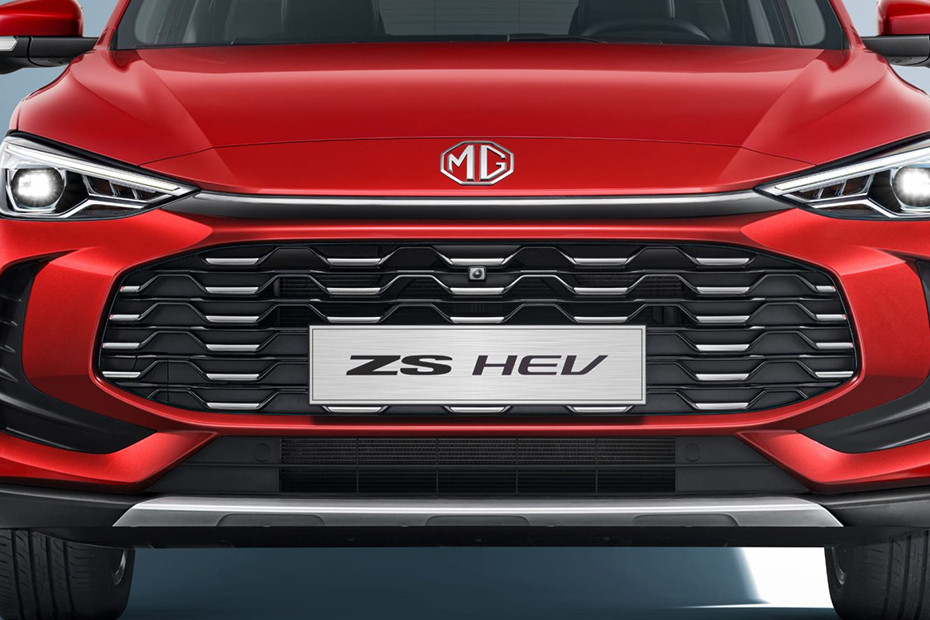 ZS Grille View ZS Grille View