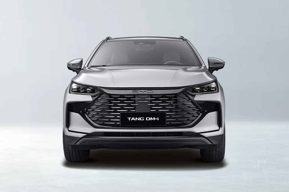 Full Front View of Tang DM-i
