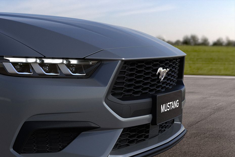 Ford Mustang Grille View