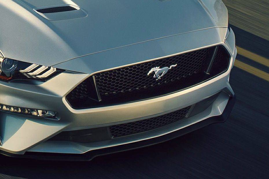 Mustang Grille View Mustang Grille View