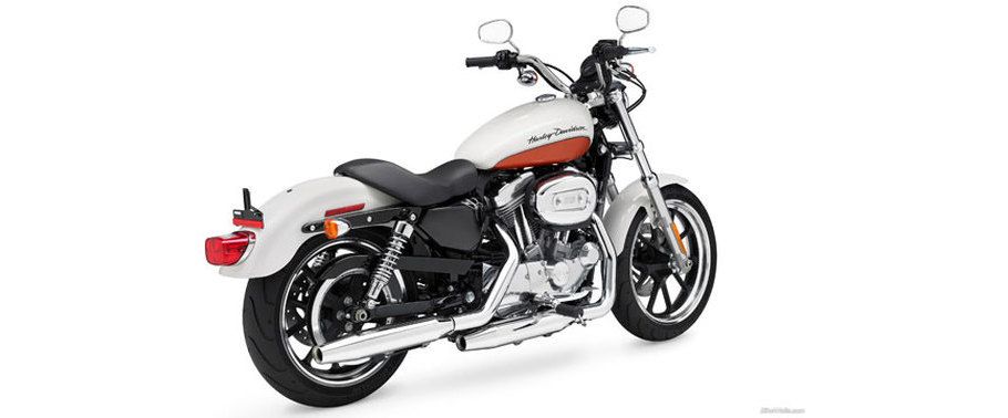 Harley-Davidson 883L Superlow Back Side View Harley-Davidson 883L Superlow Back Side View