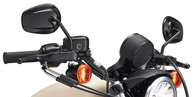 Harley-Davidson 883N Iron Back Side View