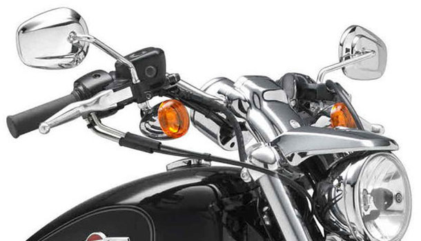 Harley-Davidson 1200C Back Side View