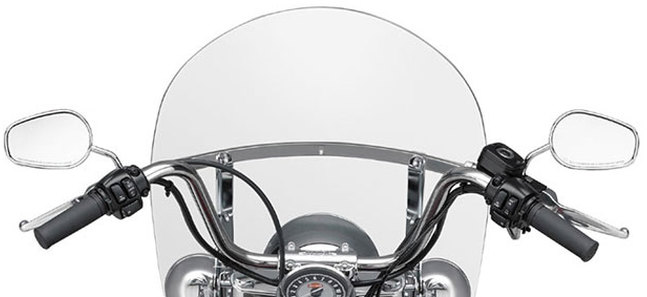 Harley-Davidson Softail Heritage Classic Back Side View