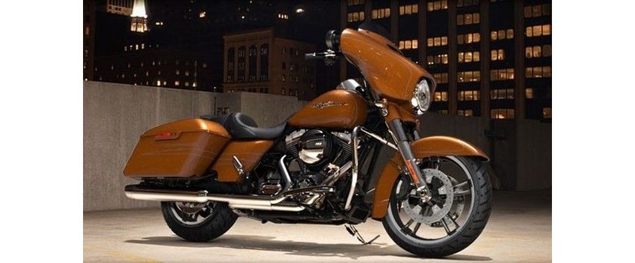 Harley-Davidson Street Glide Special Back Side View