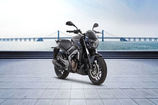 Discontinued Kawasaki Dominar 400 Standard Features Specs