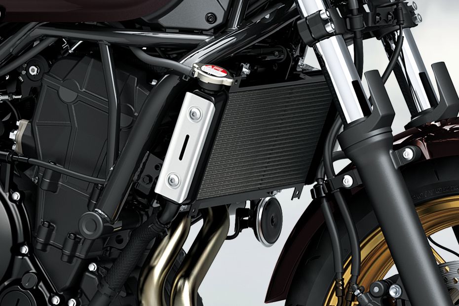 Kawasaki Z650RS Z 50th Anniversary Edition Cooling System