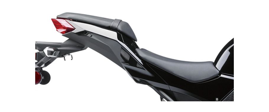 Kawasaki Ninja 250 Rider Seat View