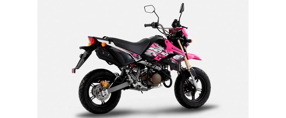 Kawasaki KSR 110 Back Side View