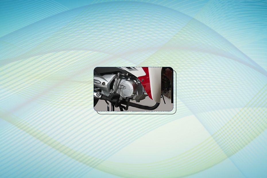 Skygo Duke 110 Engine View Skygo Duke 110 Engine View