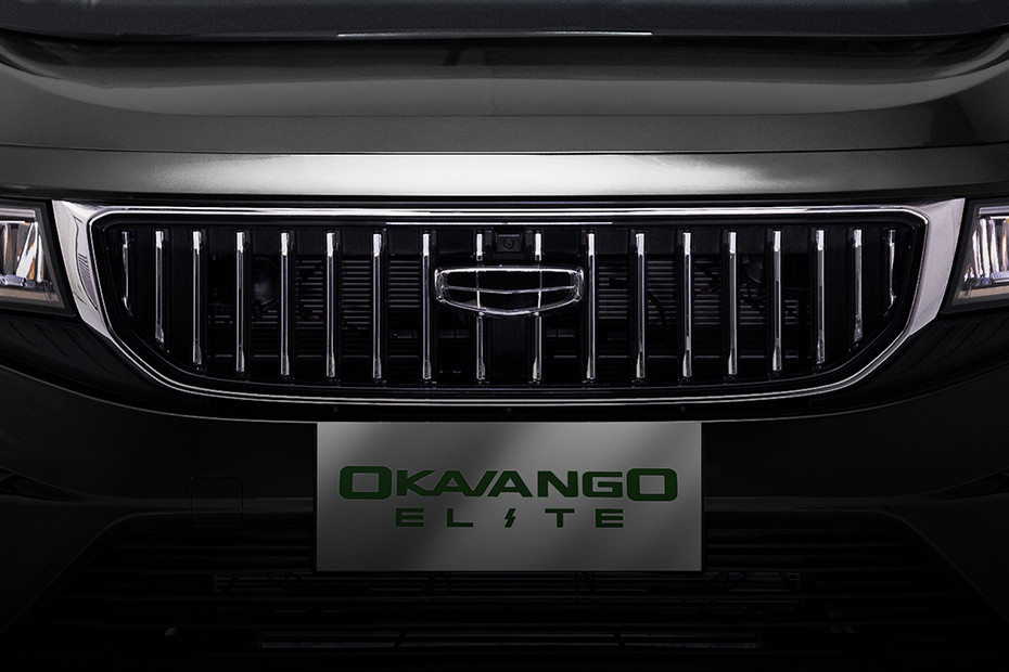 Okavango Grille View