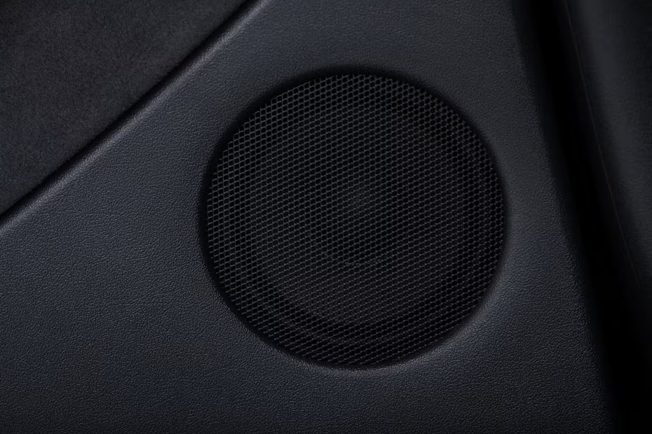 Speakers View of Tesla Model Y