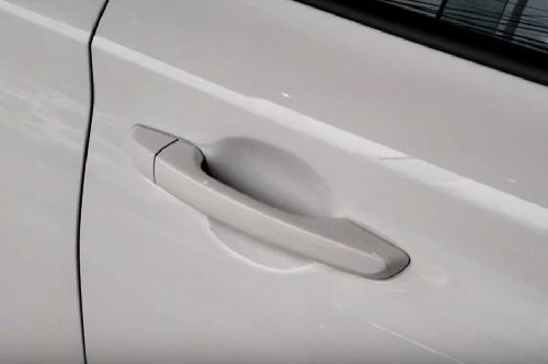 Reina Door handle