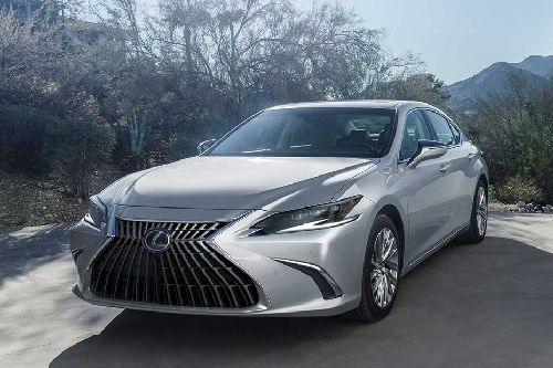 ES Front deep low Angle View