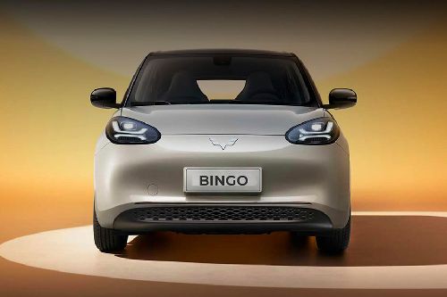 Full Front View of Bingo