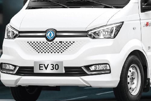 EV30 Grille View