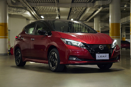 Leaf Front deep low Angle View