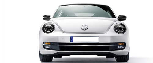 Full Front View of Beetle