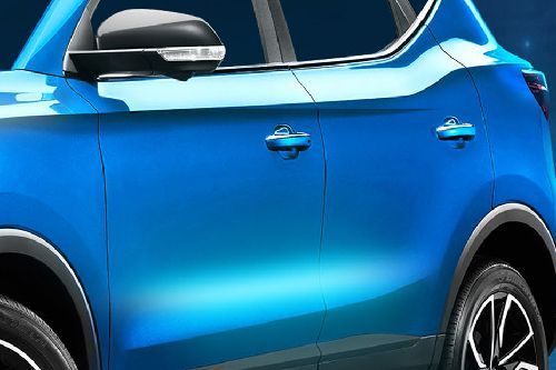 ZS T Door handle