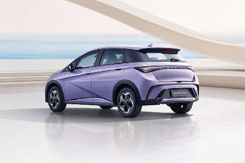 Rear Cross Side View of BYD Dolphin