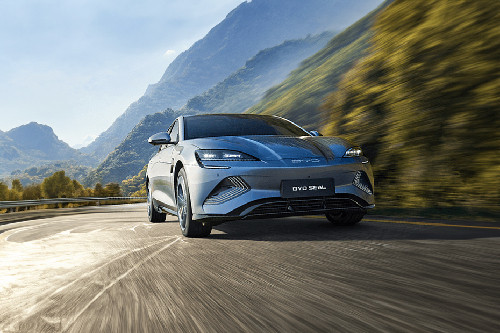 Seal Front deep low Angle View