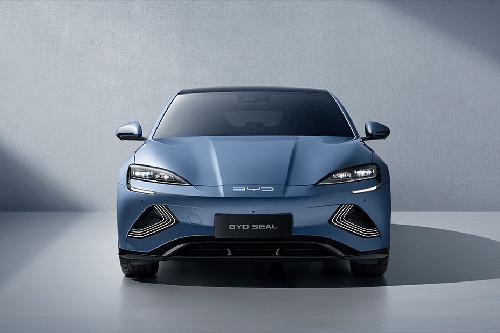 Full Front View of Seal