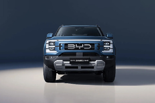 Full Front View Full Front View of Shark 6 DMO