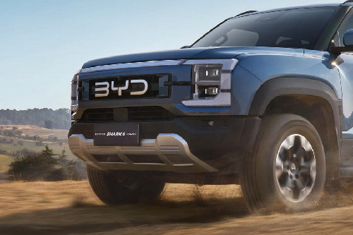 Shark 6 DMO Grille View