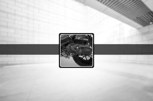 Honda Zoomer-X Engine View