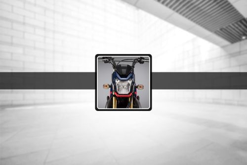 Honda Zoomer-X Head Light View