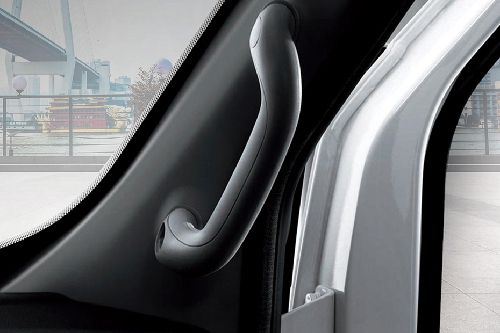 JAC Sunray Inside Handle