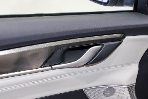 door handle interior of WM Motor W5