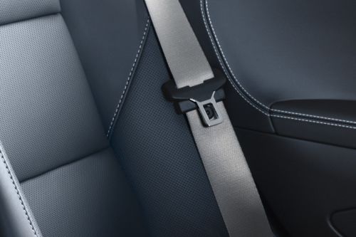 718 Seat Belt