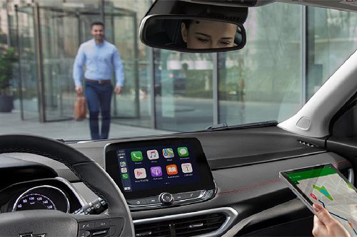 Tracker Courtesy Lamps