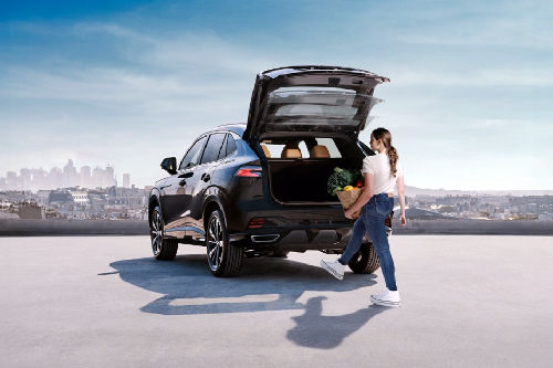 HS Hybrid Trunk Open