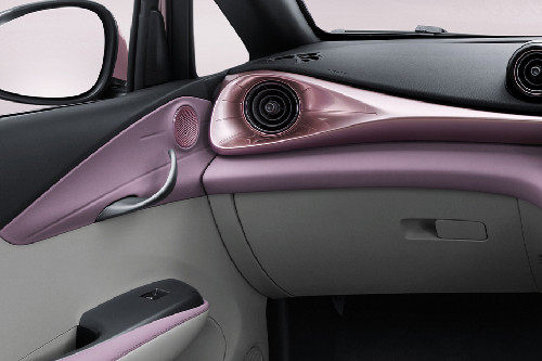 BYD Dolphin Passengers View