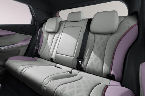 BYD Dolphin Rear Seats