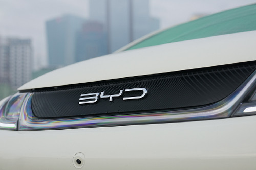 BYD Dolphin branding