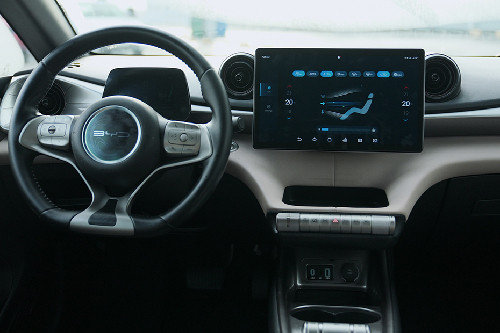 BYD Dolphin dashboard view