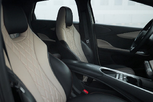 BYD Dolphin front seats